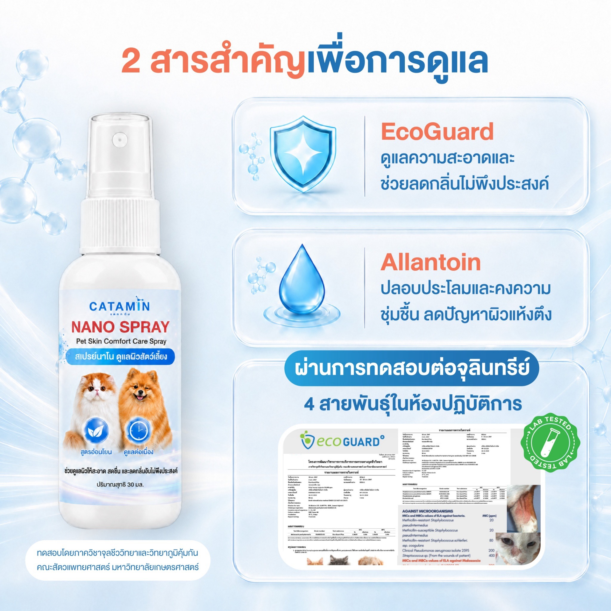 EcoGuard Plus และ Allantoin ใน Catamin Nano Spray
