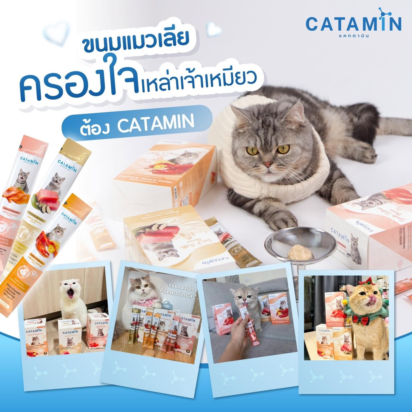 ขนมแมวเลีย Catamin ทั้งสามสูตร พร้อมแมวและบรรจุภัณฑ์ต้นฉบับ