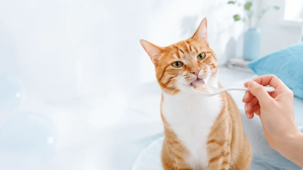 Functional Cat Treat ปี 2026 ขนมแมวเลียที่เลือกตามเป้าหมาย