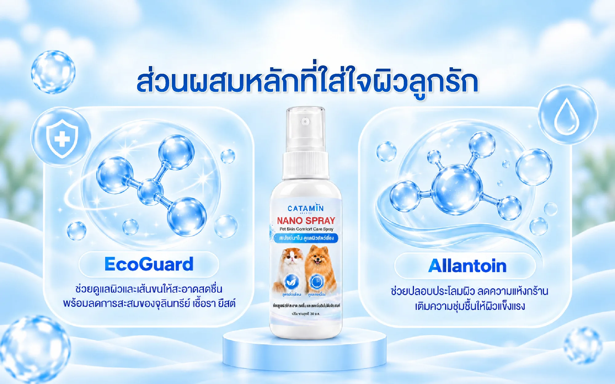 ส่วนผสมหลัก CATAMIN NANO SPRAY: EcoGuard และ Allantoin