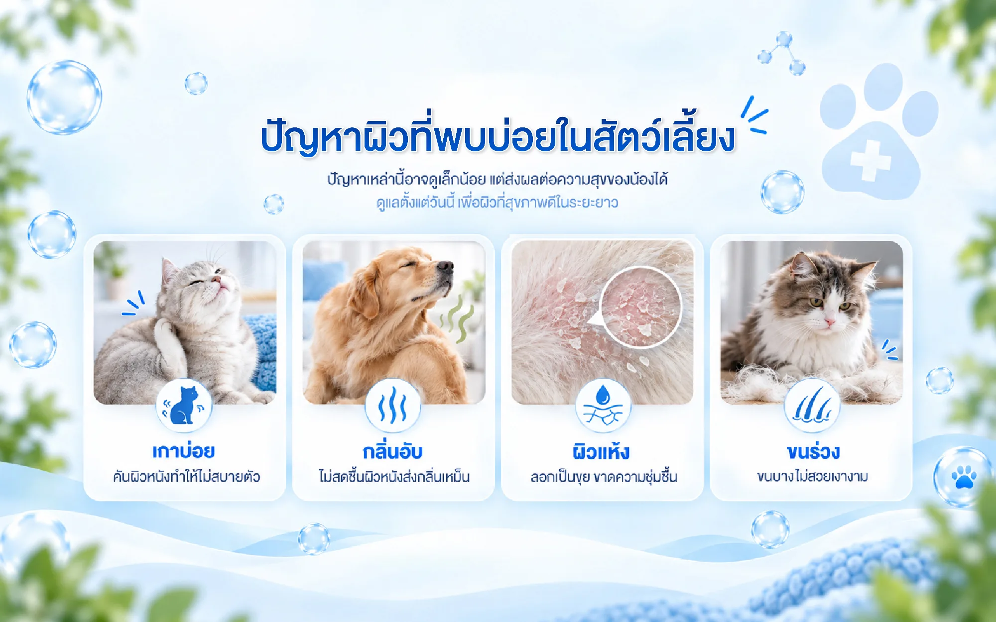 ปัญหาผิวที่พบบ่อยในสัตว์เลี้ยง: เกาบ่อย กลิ่นอับ ผิวแห้ง ขนร่วง
